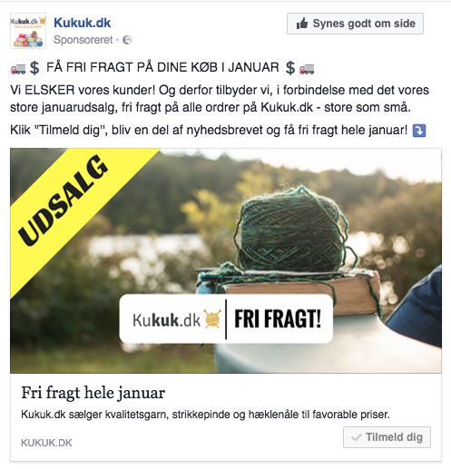Kukuk.dk Lead Ads Eksempel