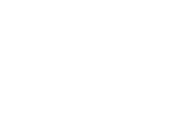 videnscenter-logo-hvid